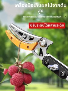 MUJUEAO | Extendable Stainless Steel Pruning Shears
