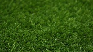 Premium Artificial Grass Carpet: A Comprehensive Guide