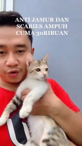 GROOM SCABIEX SPRAY SEMPROT ANTI JAMUR SCABIES UNTUK KUCING ANJING