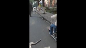 Kick Scooter with Foot Ride Pedal for Ages 6+Kid Teens & Adults. Max Load 240 LBS. Foldable Lightweight 8IN Big Wheels for Kids Teen and Adults 3 Adjustable Levels