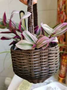 Handcrafted Wicker Pole PE Simulation Vine Baskets Plant Pots DIY Wicker Weaving Bag Material Artificial Vine Home Garden