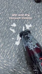 PowerPac Handheld Vacuum Cleaner Cordless Wet & Dry (PPV602/PPV605)