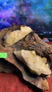 Đá THẠCH ANH VÀNG COMBO 2 CÁI CITRINE TỰ NHIÊN phale NĂNG LƯỢNG VŨ TRỤ MẠNH 404