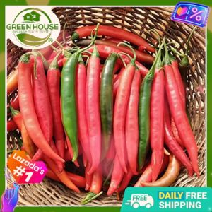 Green House® - Red Hot Thai Chili Pepper Seeds for Planting Vegetable Plants (115 Seed) incl. Instruction Herbal Pepper
