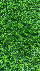 (แบบแบ่งตัด) หญ้าเทียม 3 cm.Premium รุ่นขนหนาแน่น ขนาด 12-20 ตรม. เคลือบกันUV+เสริมตาข่าย ใช้งานกลางแจ้ง ปูสนาม ร้านอาหาร รีสอร์ท