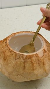 Nutrijell Ekonomis 10gr Agar Agar Jelly Rasa Kelapa muda