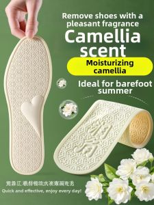 FUYOU | Deodorant Sweat Absorbing Breathable Footwear Insoles For Men and Women