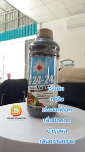 4-24-24 สูตรสะสมอาหารในไม้ผล บำรุงราก ราคาล่าสุด 1 ลิตร ดวงตะวันเพชร