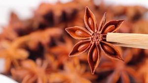 八角、大茴、大茴香 SEED OF ANISE Star Anise Whole 烹饪 调味料 香料 200g Bunga Lawang / Illicum Verum