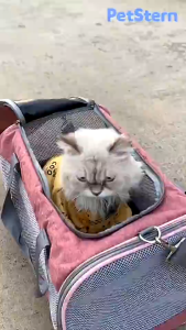 PMT Pet backpack can hold 15kg cat and dog backpack portable