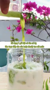 Bột cỏ lúa mì hữu cơ sấy lạnh Dalahouse - Hộp 40 lần dùng - Hỗ trợ thải độc gan và máu hỗ trợ tiểu đường tiêu hóa và giảm táo bón