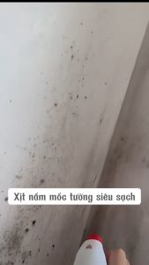 Bình Xịt Tẩy Nấm Mốc Tường Gạch Siêu Sạch Chai Xịt Vệ Sinh Nấm Mốc 330ml MEHOM - XNM02
