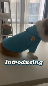 [Wikidog] KAWAII QA°09 Bear Breathable Hoodies with Long Sleeve Coverage Comfortable and Perfect for Pets