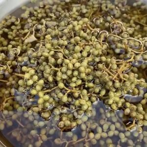 มะแขว่นดองน้ำปลา มะแขว่นสดใหม่ มะแขว่ํา มะแขว่ํา ดอง มะแขว่ําดอง - Lazada