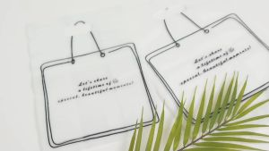 Plastik Jinjing Kotak Bento | Kantong Plastik Donat Doff | Kresek Donat Brownies Box |Tas HD Buram Box Nasi