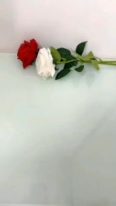 Tăm Bông Gỗ 2 Đầu 100 Que – Set 10 Gói – Đầu Bông Mịn Thân Gỗ Tự Nhiên Vệ Sinh Tai & Trang Điểm