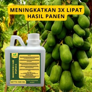 Pupuk Pelebat Papaya / Pupuk Buah Papaya / Pupuk Booster Papaya / Pupuk Papaya