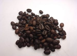 biji kopi robusta dampit