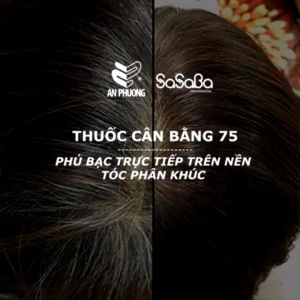 NHUỘM MÀU NÂU ĐỎ Ỵ45 CHO TÓC -- Nhuộm Phủ Bạc Thời Trang Sasaba 450ml