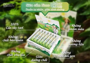 CẦN TÂY GREEN BEAUTY