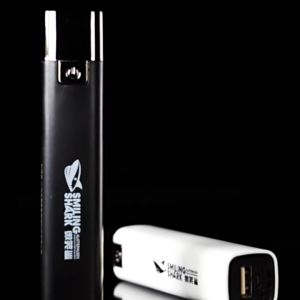 ไฟฉาย LED แบบชาร์จไฟได้ 10 แพ็ค ไฟฉายพกพาขนาดเล็กสำหรับตั้งแคมป์ พร้อม 3 โหมด ไฟฉายแบบกันน้ำขนาดกะทัดรัด สำหรับการตั้งแคมป์