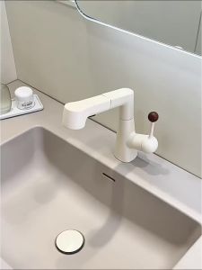 QIANMUYU | Cold and Hot Dual Use Pull-Down Laundry Faucet