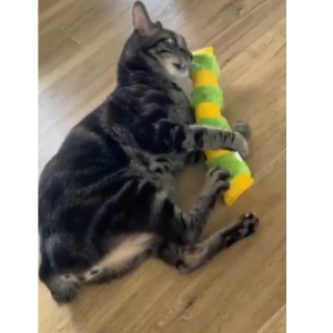 (NEW) Yeowww! Big Kicker Organic Catnip Toy for Cats