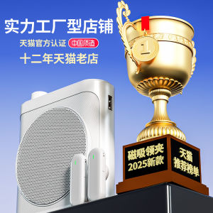 Teachers Wireless Lapel Microphone Amplifier Large Volume Call out Tour Guide Beehive Sound Box Classroom Teaching Special