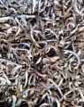 Lá Xông nhà thảo mộc _ Xông nhà tẩy uế trừ tà  chiêu tàu lộc _ gói 100g ( Bồ kết, vỏ bưởi, lá bưởi, xả, quế, gừng khô...). 