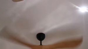 Alkova KOKO 56" DC Motor 7+7 Speed Remote Control /Baby & Turbo Wind