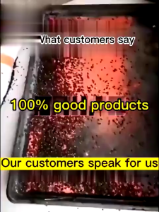 No Flies for 10 Years Fly Killing Bait Powder Fly Killer Non -Toxic Odorless 100% Fly Killing Rate