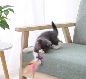 Cần Câu Đồ Chơi Dây Thép Dẻo Cho Mèo