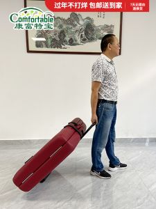 Portable Folding Massage Bed Beauty Bed with Storage Backpack Specialty Hand-Propelled Trouser-Kart Hair Salon Equipment
