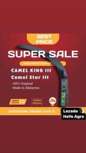 EGREK CAMEL KING 111 / CAMEL STAR 111 FULL SET