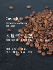 Hand-Poured Light Roast Costa Rican Coffee Beans from San Ye Cafe Mild Honey Flavor Premium Quality for Drip Filter Press