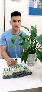 5 Chai Dung Dịch Thủy Canh 38ml chuyên dùng cho cây trồng thủy sinh hoa cây cảnh bể cá