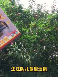 Paw Patrol Great Power Telescope High Power High Definition Childrens Toys Boys Girls Outdoor Experiment Binoculars Magnifying Glass