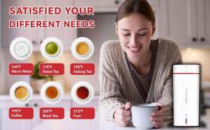 Portable Electric Kettle 500ML Thermos Tumbler Portable Water Heater Mini Kettle Electric Travel Water Bottle Portable Thermos with Temperature Control Small Kettle for Coffee Tea Rapid Heating