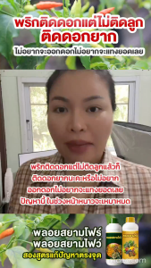 ชุดพริกดก สำหรับสวนเล็ก แตกดอกเต็มที่ ผลผลิตเต็มต้น ติดดอกเร็วกว่า ต้องการพริกดกต้องเซ็ตนี้เลย! ดันดอกดี+ติดดกดี