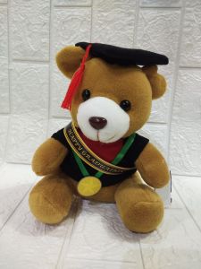 boneka wisuda 20cm dan 22 cm GRATIS cetak nama bahan lebih lembut