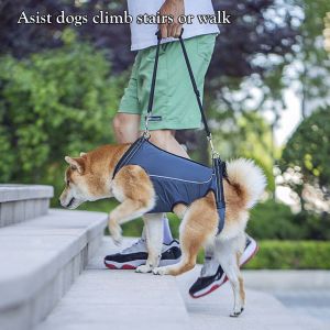Dog Lift Harness – Adjustable Mobility Support Sling for Elderly Injured or Disabled Dogs – Breathable Durable and Easy-to-Use Assist Harness (S M L XL)