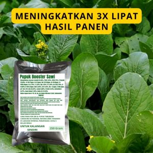 Pupuk Booster Sawi / Obat Booster Sawi / Pupuk Booster Sawi / Pupuk Sawi