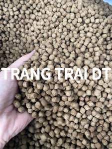 1 Kg Cám cá CA05 6mm thức ăn nổi 6mm cho cá lớn cá chép cá Koi..