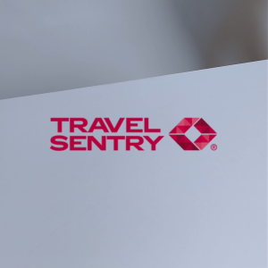 Travel Sentry Packing Cubes (3 Sets) Grey
