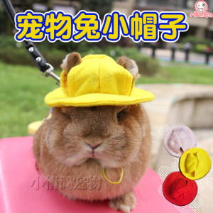 Pet Rabbit Clothes & Accessories: A Comprehensive Guide