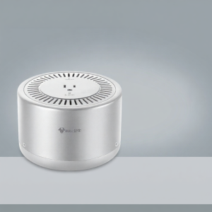 Bull | Voltage Converter 110V 220V