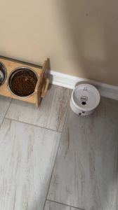 Elevated Small Toy Dog Cat Bowls Tilted Adjustable Puppy Feeder Stand with 2 Stainless Steel Bowls for Puppies Cats Accessories