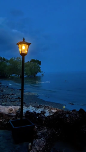 Naturuxa 63" Solar Lamp Post Light With Flowerpot – Monocrystalline Panel (50% More Efficient) Rust-Resistant Aluminum + Glass Wont Attract Mosquitoes 12H+ Lighting IP65 Waterproof 3000K Warm White 10-Year Warranty COD Available