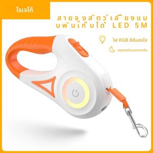ROJECO 5M สายจูงสุนัขอัตโนมัติ LED Luminous ชั้นนําแฟชั่นสายรัดสําหรับสุนัขลูกสุนัขสัตว์เลี้ยง Flexi เดินวิ่งตะกั่ว