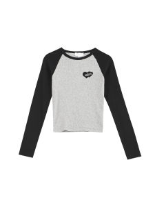 Áo Thun Dài Tay Màu Xám Cổ Điển Mỹ Dành Cho Nữ Áo Lót Ngắn Áo Chui Đầu Dáng Ôm Chất Liệu Cotton Mùa Xuân